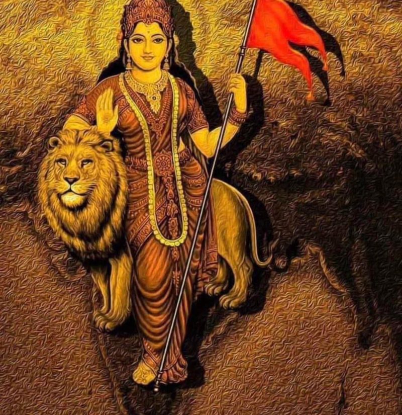 WhatsApp Image 2024-12-30 at 11.14.22 PM (1)